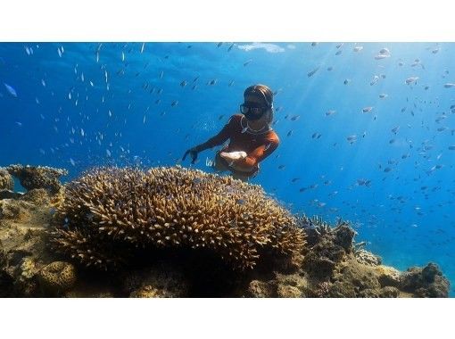 [Northern Amami Oshima] Long fins available for rental, great for taking photos! Beach skin diving and snorkeling tourの画像