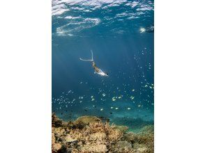 [โอกินาวา, ​​มิยาโกจิมะ] สัมผัสประสบการณ์ดำน้ำตื้นแบบแท้จริงที่หาดยาเอบิจิ! กลุ่มเล็ก วิดีโอฟรี มีตัวเลือกกล้องระดับมืออาชีพ