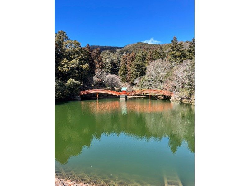 Himeji's Miraculous Radon and Unexplored Lands Ride Tour on an e-Bike ◎ Includes a ticket for Himeji Station's specialty, Eki Soba!の紹介画像