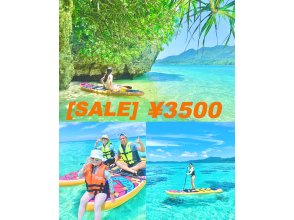 [Ishigaki Island, Private SUP] Kabira Bay, Hidden Beach, Mangroves | 5.1K drone data + Free shuttle & Same-day reservations OK