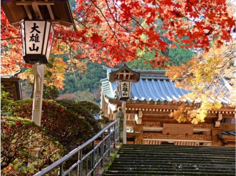 吉田茂・陸奥宗光・大隈重信の別邸見学＆燃えるような大紅葉の絶景・最乗寺巡りバスツアー ～和食御膳のご昼食付～【029029－1514】の紹介画像