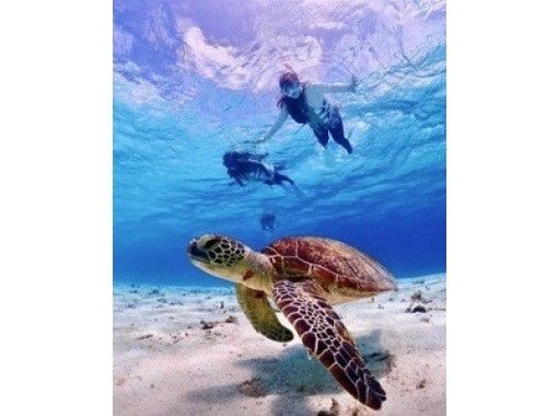 【宮古島】少人数制の八重干瀬シュノーケルツアー！手作りランチ付き！水中写真データプレゼント＆djiカメラ無料貸出の画像