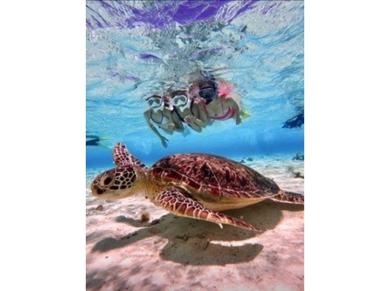 【北海道・SUP体験】透明度の高い支笏湖の湖面をクルージング！SUP体験（半日コース）の画像