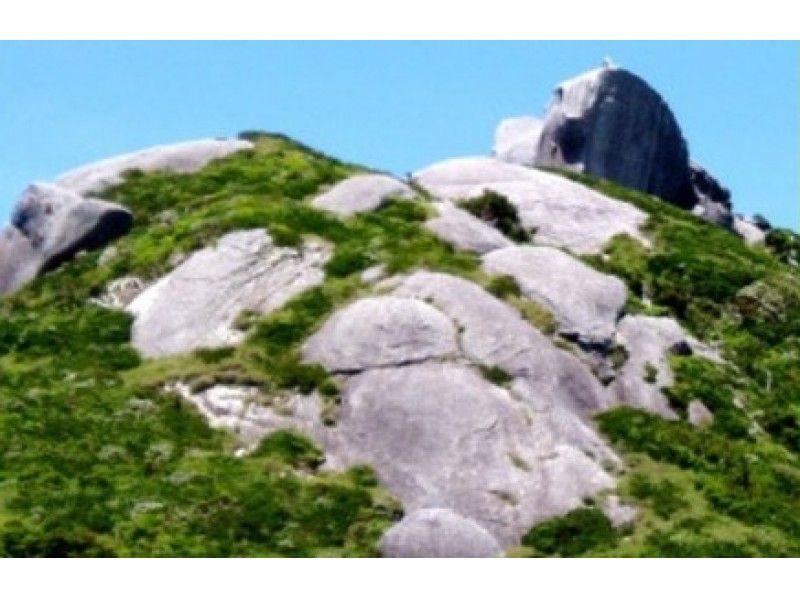 【鹿児島・屋久島】幻想的で美しい自然の象徴である黒味岳を登山しよう「黒味岳登山ツアー」早朝発(1日)