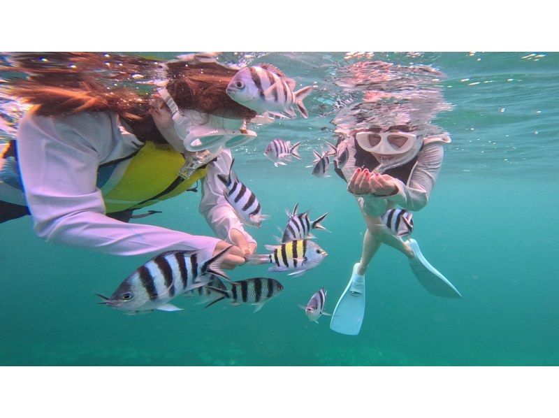【沖縄中部・北谷町】ビーチシュノーケリング！珊瑚に魚・動画写真プレゼント！カップル・女性グループ・家族の紹介画像