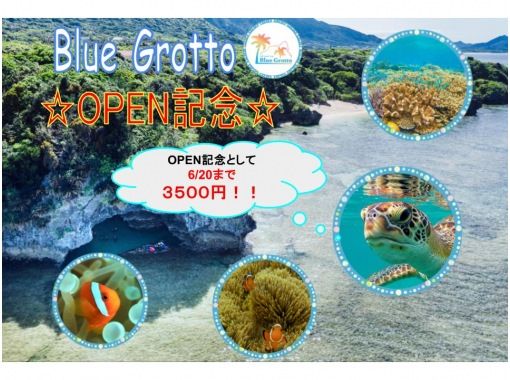 【石垣島・シュノーケル】ウミガメ&ニモに会える！手ぶらで青の洞窟までショップから徒歩すぐ！シャワー・トイレ・駐車場完備！団体&当日受付OK！の画像