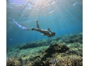Recommended by ANA [Miraculous Barasu Island & Hatoma Blue Snorkeling] Amazing Hatoma Blue Snorkeling Tour with outstanding transparency [Equipment, transportation, and photos are free]