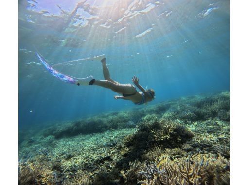 Recommended by ANA [Miraculous Barasu Island & Hatoma Blue Snorkeling] Amazing Hatoma Blue Snorkeling Tour with outstanding transparency [Equipment, transportation, and photos are free]の画像