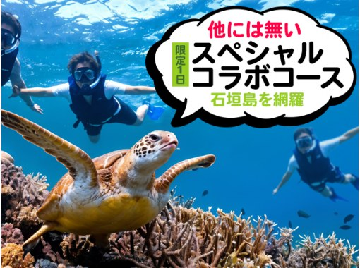 E [Ishigaki Island] The ultimate one-day special tour! Touring the island's sights and snorkeling, SUP and kayaking<SP>の画像