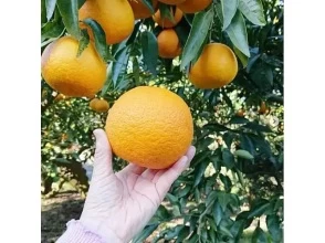 一般社団法人淡路島観光協会