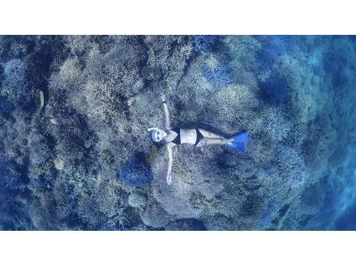 [Ishigaki Island • 8:30 AM • Boat] One-Day Snorkeling Tour from Ishigaki Island to Hatoma Island, Iriomote Island or Kuroshima Island, and Aragusuku Island (Panari) <Drone and GoPro Filming Included>の画像