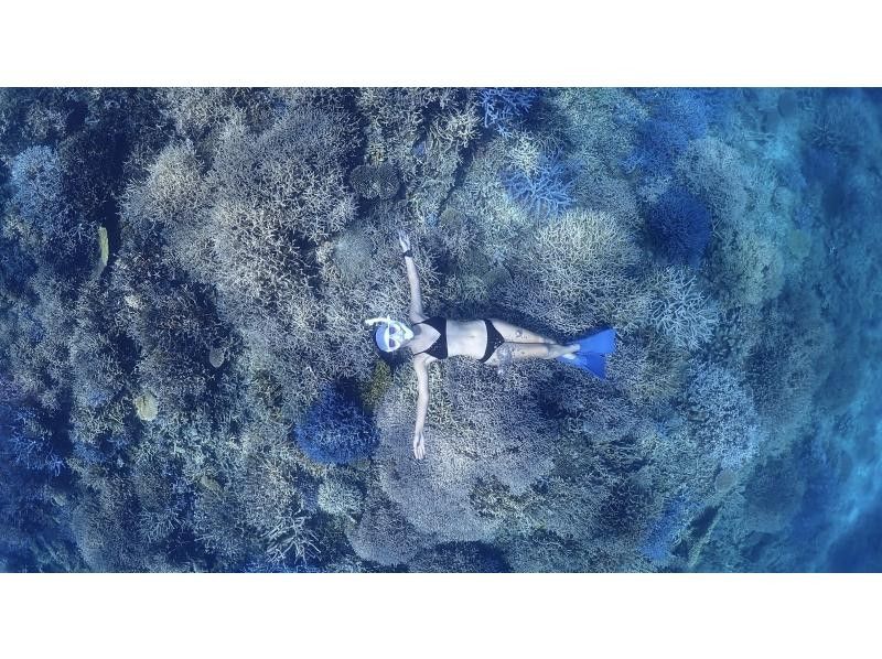 [Ishigaki Island • 8:30 AM • Boat] One-Day Snorkeling Tour from Ishigaki Island to Hatoma Island, Iriomote Island or Kuroshima Island, and Aragusuku Island (Panari) <Drone and GoPro Filming Included>の紹介画像