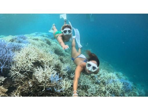 [Ishigaki Island, 1 day] Hatoma, Iriomote Island or Panari, Kuroshima snorkeling 1 day tour <Drone and GoPro photography included> A tour to take home with you memories ♪の画像