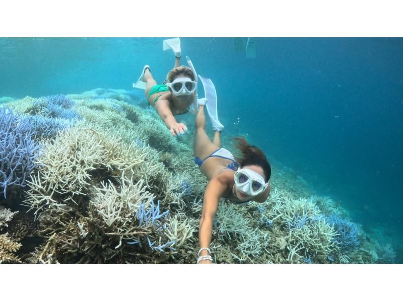 【北海道・SUP体験】透明度の高い支笏湖の湖面をクルージング！SUP体験（半日コース）の画像