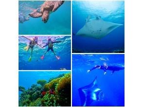 [Okinawa/Ishigaki] Full-Day Snorkel Tour: Sunken Ship & Secret Island. For Families & Couples.