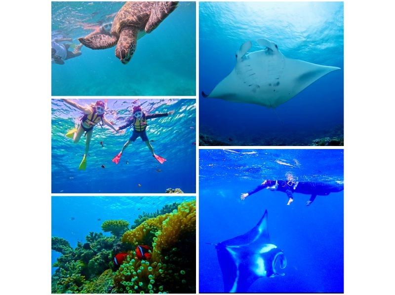 [Okinawa/Ishigaki] Full-Day Snorkel Tour: Sunken Ship & Secret Island. For Families & Couples.