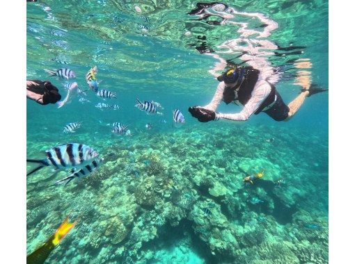【沖縄・水納島】手軽の海を覗き見！ボートシュノーケリングの画像