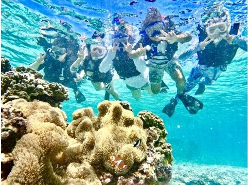 【宮古島】珊瑚礁&熱帯魚シュノーケル♪《12歳未満は子供料金‼︎当日予約OK‼︎体験90分》の画像