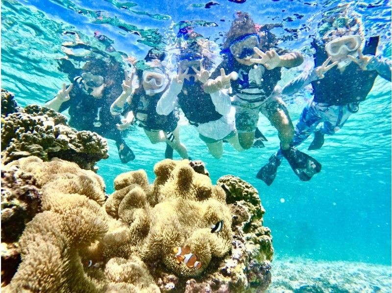 【宮古島】珊瑚礁&熱帯魚シュノーケル♪《12歳未満は子供料金‼︎当日予約OK‼︎体験90分》の紹介画像