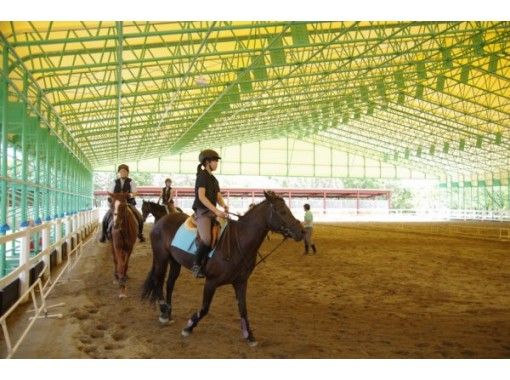 [Hyogo Akashi และภาคตะวันออก Harima] ประสบการณ์การขี่ม้า! สมาชิกหลักสูตรบทเรียนの画像