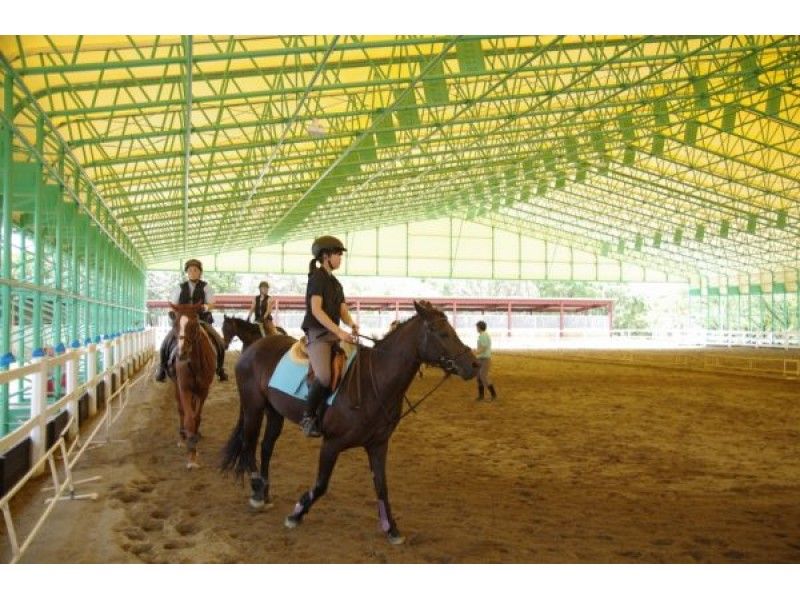 [Hyogo Akashi and Eastern Harima] riding experience! Member lesson courseの紹介画像