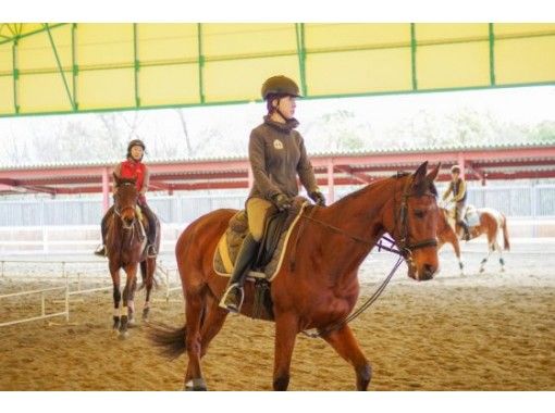 【 兵库 / 明石/东播磨 】我想练好！ 骑马徒步体验（迷你体验课程）の画像