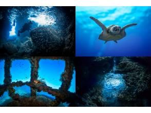 【沖縄・宮古島】宮古が誇る地形美や生物撮影を楽しもう！ファンダイビング（３ダイブ/ライセンス必須）