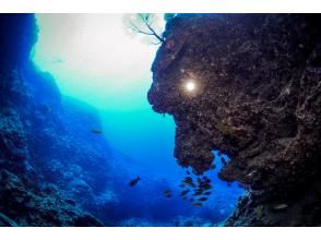 【沖縄・宮古島】★初回特典★フルレンタル器材無料！ファンダイビングツアー♪（３ダイブ/ライセンス必須）