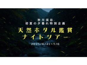 [Tokyo, Akigawa Valley] Held from June 21st (Sat) to July 6th (Sun)! Limited to 6 people! Guided Akigawa Valley Natural Firefly Viewing Night Tour