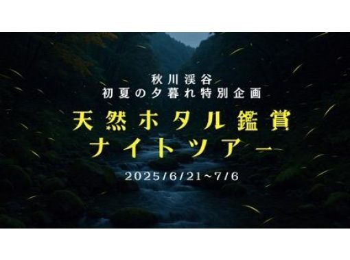 [Tokyo, Akigawa Valley] Held from June 21st (Sat) to July 6th (Sun)! Limited to 6 people! Guided Akigawa Valley Natural Firefly Viewing Night Tourの画像