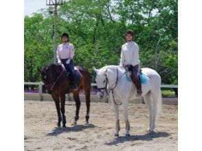 [Hyogo/Akashi/Higashiharima]Weekday Limited! Practice with your friends! Horse riding Experience (pair lesson course)の画像