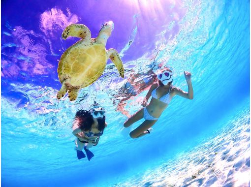 【宮古島】《少人数制》高画質写真・無料プレゼント！ウミガメビーチシュノーケルツアーの画像