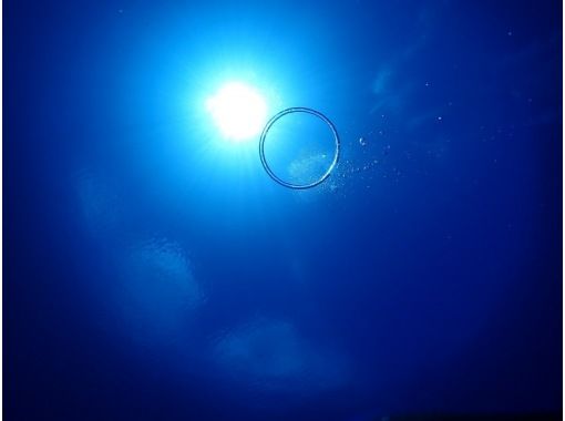 【沖縄・那覇発／慶良間】慶良間諸島シュノーケルツアー（写真データプレゼント・器材無料レンタル）の画像