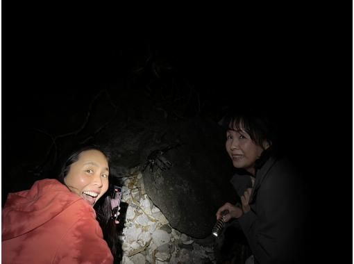 【1日1組】海老取って食う！？金神手長海老＆ヤシガニ！亜熱帯ジャングルナイトサファリ！の画像