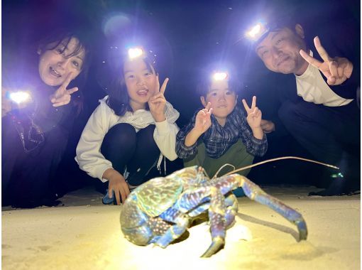 【每天一组】抓虾吃虾！ ？黄金虾和椰子蟹！亚热带丛林夜间探险！の画像