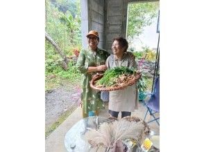 [沖繩本部]與當地奶奶一起遊覽山原森林野花！午餐包含新鮮採摘的野生植物和野生植物茶。包括翻譯的導遊服務。