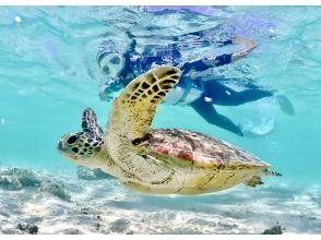 【宮古島超值！ 】《100%邂逅率持續》海龜浮潛☆當天OK☆雨天OK☆免費數據☆免費租借☆還能遇見尼莫★