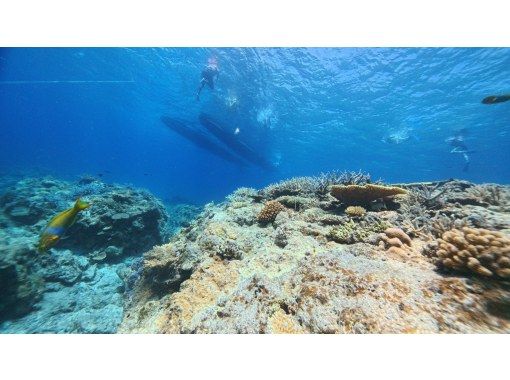 【半日AM便／那覇市内送迎あり】★豪華カタマラン船で行く慶良間諸島★半日ボートシュノーケリングツアー（バナナボート1回無料）の画像