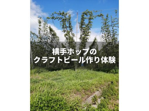 【秋田・横手】【7月】＜クラフトビール作り体験＞ホップ作りから醸造までを2日間で体験！農作業後や醸造樽を見ながら飲むビールは最高です！の画像