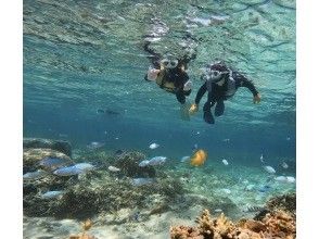 【沖縄・糸満・豊見城】専属ガイド1組貸切で安心ウミガメやカラフル熱帯魚が楽しめるジョン万ビーチでのシュノーケリング!写真データ＆餌やり無料