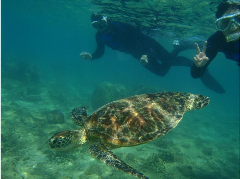 【北海道・SUP体験】透明度の高い支笏湖の湖面をクルージング！SUP体験（半日コース）の画像