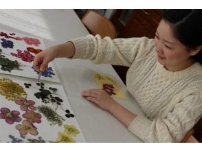 【北海道长沼町】体验用田野里的压花制作压花透明文件夹