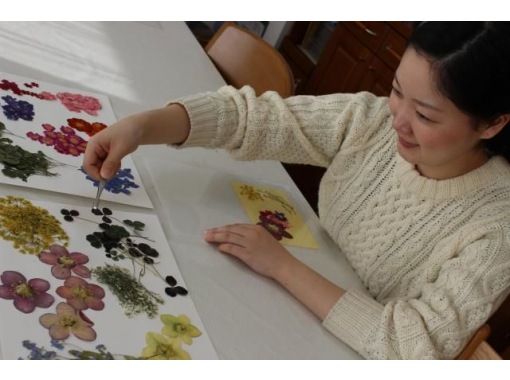 【北海道長沼町】體驗用田裡的壓花製作壓花透明文件夾の画像
