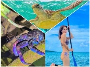 【宮古島・1組貸切・1日大満喫】《宮古島プレミアムツアー！！》★シュノーケル★SUP★ナイトツアー★1組貸切先着！