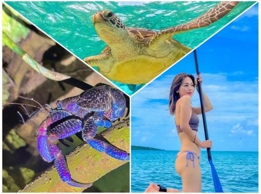 【宮古島・1組貸切・1日大満喫】《宮古島プレミアムツアー！！》★シュノーケル★SUP★ナイトツアー★1組貸切先着！の画像
