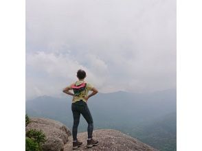 【鹿児島・屋久島】【貸切ツアー】【屋久島ガイド歴25年の女性オーナー常駐】世界遺産の森をのんびり歩く♪＜白谷雲水峡太鼓岩トレッキング＞
