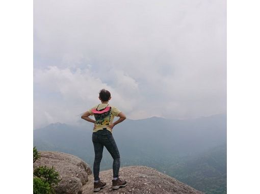【鹿児島・屋久島】【貸切ツアー】【屋久島ガイド歴25年の女性オーナー常駐】世界遺産の森をのんびり歩く♪＜白谷雲水峡太鼓岩トレッキング＞の画像