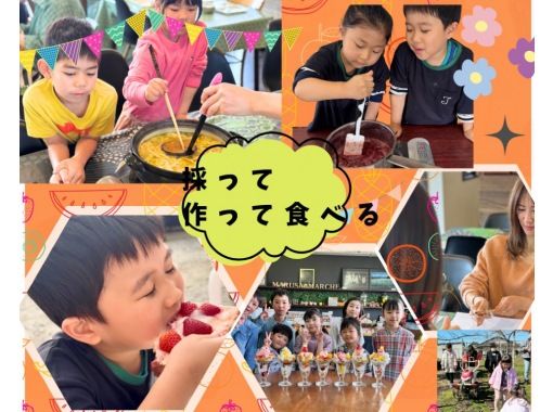 [Yamanashi Fuefuki] A special experience for a limited time! Pick, cook and eat food education experience planの画像