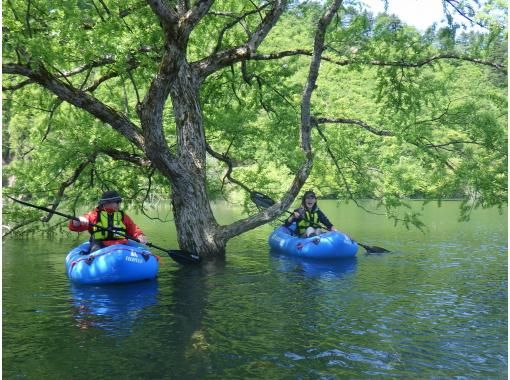 【東北・山形県】鶴岡市　期間限定・秘境・荒沢湖・清らかな湖の水没林を漕ぐパックラフト（カヌー・カヤック）ツアー・写真データ無料！の画像