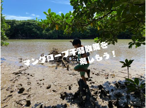 【石垣島/2時間】宮良川のマングローブで干潟散策！カヤックに乗らなくても遊べる不思議アドベンチャーツアー！の画像